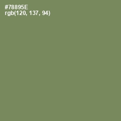 #78895E - Glade Green Color Image
