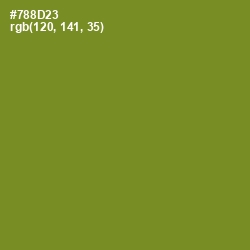 #788D23 - Wasabi Color Image