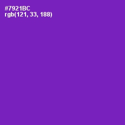 #7921BC - Royal Purple Color Image