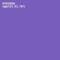 #795DBB - Blue Violet Color Image
