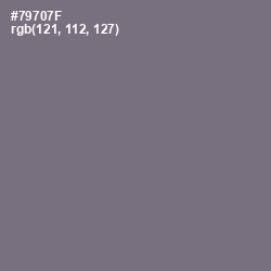 #79707F - Boulder Color Image