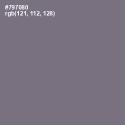 #797080 - Storm Gray Color Image
