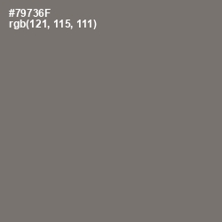 #79736F - Limed Ash Color Image