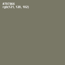 #797866 - Limed Ash Color Image