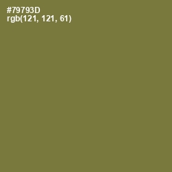 #79793D - Pesto Color Image