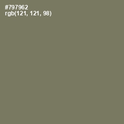 #797962 - Limed Ash Color Image