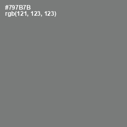 #797B7B - Boulder Color Image