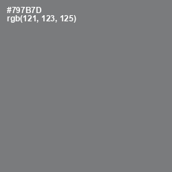 #797B7D - Boulder Color Image