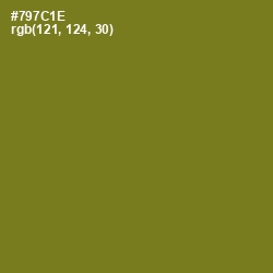 #797C1E - Olivetone Color Image
