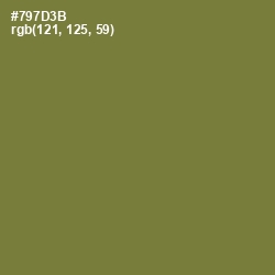 #797D3B - Pesto Color Image