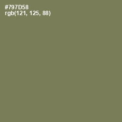 #797D58 - Crocodile Color Image