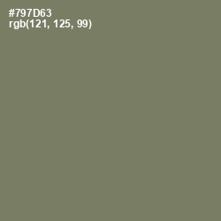 #797D63 - Limed Ash Color Image