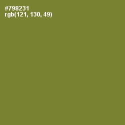 #798231 - Wasabi Color Image