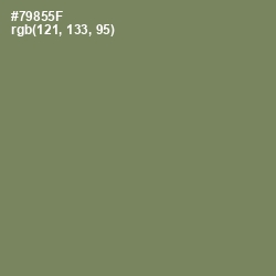 #79855F - Glade Green Color Image