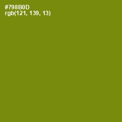 #798B0D - Trendy Green Color Image