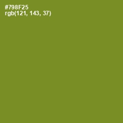 #798F25 - Wasabi Color Image