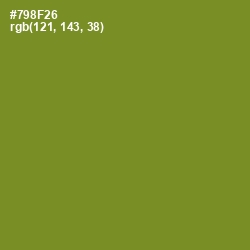 #798F26 - Wasabi Color Image