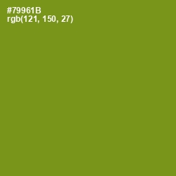 #79961B - Trendy Green Color Image