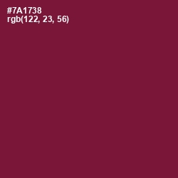 #7A1738 - Claret Color Image