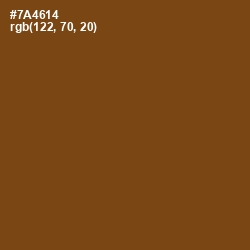 #7A4614 - Raw Umber Color Image
