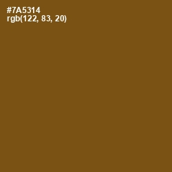 #7A5314 - Raw Umber Color Image