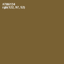 #7A6134 - Yellow Metal Color Image