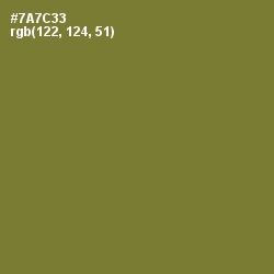 #7A7C33 - Pesto Color Image