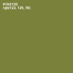 #7A813B - Wasabi Color Image