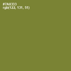 #7A8333 - Wasabi Color Image