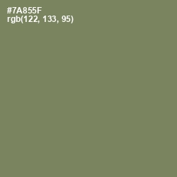 #7A855F - Glade Green Color Image