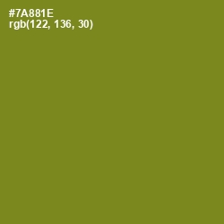 #7A881E - Trendy Green Color Image