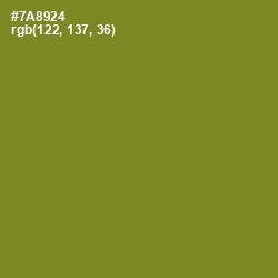 #7A8924 - Wasabi Color Image