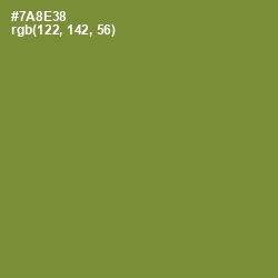 #7A8E38 - Wasabi Color Image