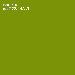 #7A9307 - Limeade Color Image