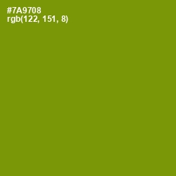 #7A9708 - Limeade Color Image