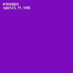 #7B0BBD - Purple Color Image