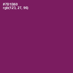 #7B1B60 - Finn Color Image