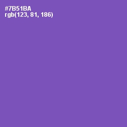 #7B51BA - Studio Color Image