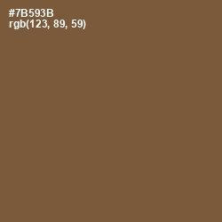 #7B593B - Old Copper Color Image