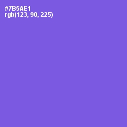 #7B5AE1 - Blue Marguerite Color Image