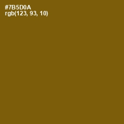 #7B5D0A - Raw Umber Color Image