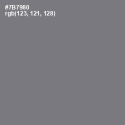 #7B7980 - Jumbo Color Image