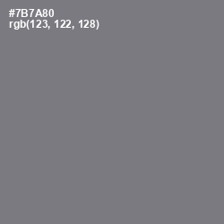 #7B7A80 - Jumbo Color Image