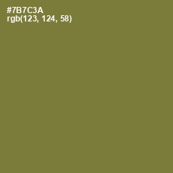 #7B7C3A - Pesto Color Image