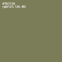 #7B7C58 - Crocodile Color Image