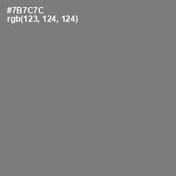 #7B7C7C - Concord Color Image