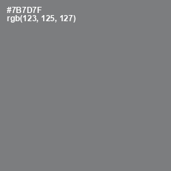 #7B7D7F - Concord Color Image