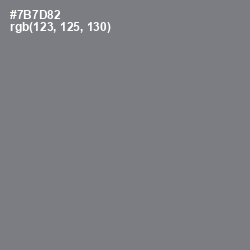 #7B7D82 - Jumbo Color Image