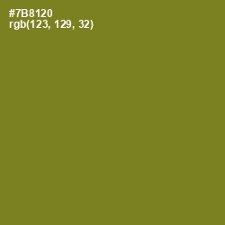 #7B8120 - Pacifika Color Image