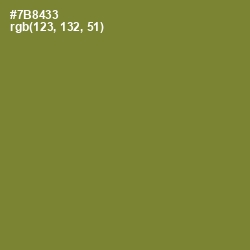 #7B8433 - Wasabi Color Image